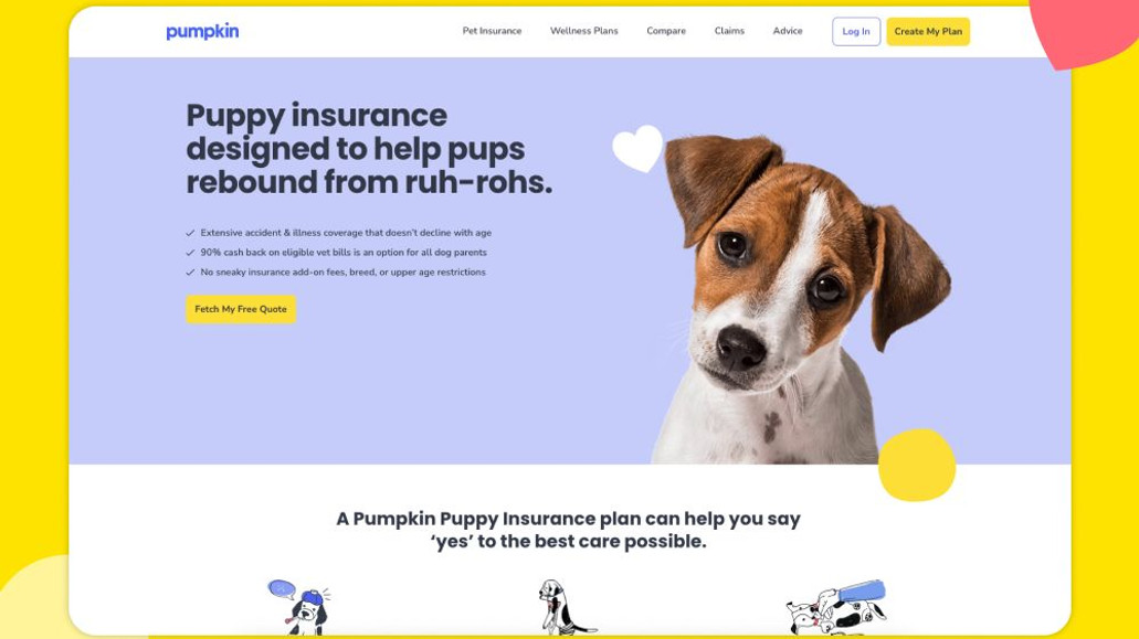 Pumpkin Pet Insurance: Web Design and Development.