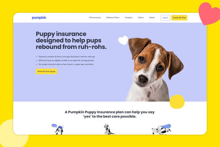 Pumpkin Pet Insurance: Web Design and Development.