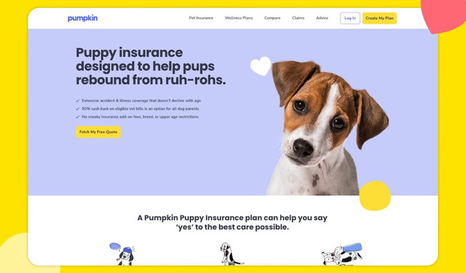 Pumpkin Pet Insurance: Web Design and Development.