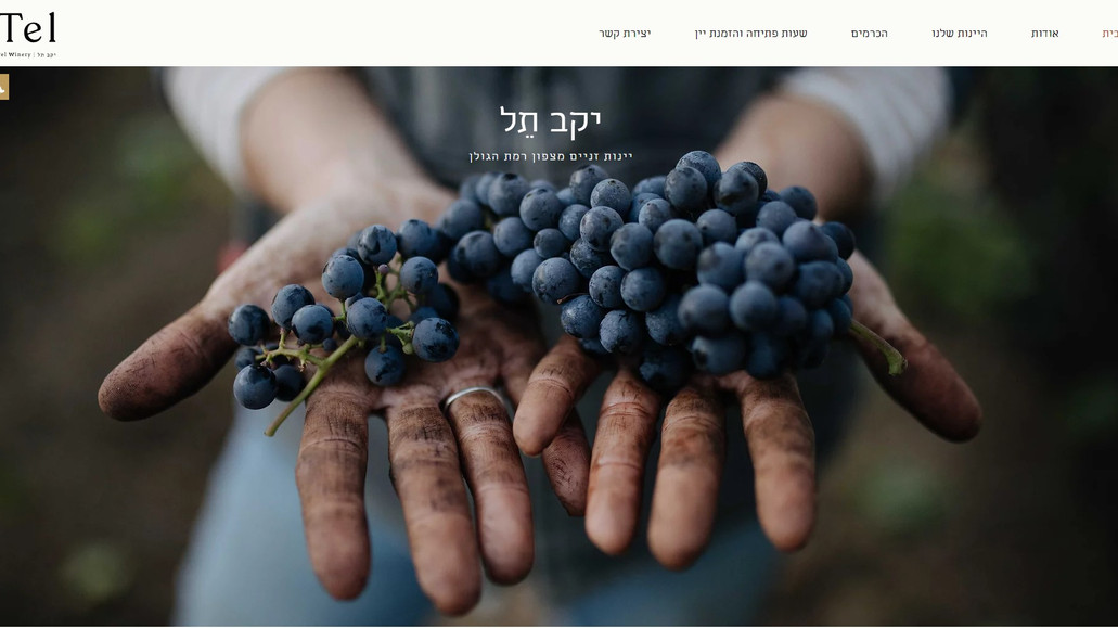Tel Winery: אתר תדמית ליקב צעיר בבעלות של ליטל עובדיה המוכשרת. 
האתר נועד לשדר איכות, מקצועיות וחמימות. עוצב בצורה נקייה ופשוטה לניווט. 