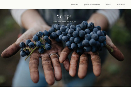 Tel Winery: אתר תדמית ליקב צעיר בבעלות של ליטל עובדיה המוכשרת. 
האתר נועד לשדר איכות, מקצועיות וחמימות. עוצב בצורה נקייה ופשוטה לניווט. 