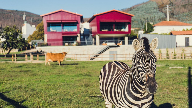 Quintas Farm Houses: Hotel website connected to channel manager to receive direct booking and avoid channel fees. 