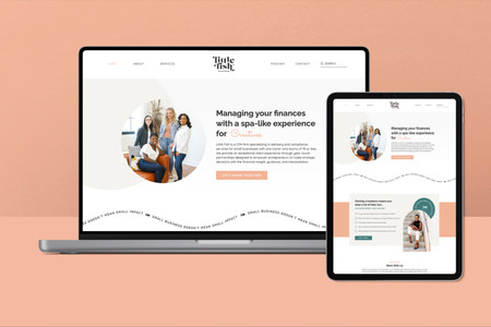 Little Fish Accounting: Purpose: To elevate the Little Fish visual brand and develop a custom website with a sophisticated look. The website guides visitors through a funnel that leads them to the services that will best fit their needs, even if they aren’t ready for a partnership, using a "Start", "Build", "Grow" framework.