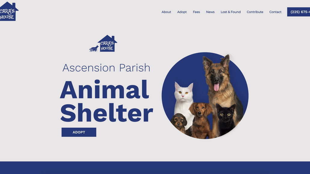 Cara's House: Branding • Design • Development