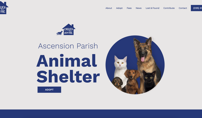 Cara's House: Branding • Design • Development