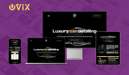Auto Detailing: We have designed this website from scratch.