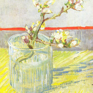 Van Gogh Design