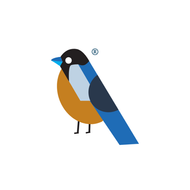 Blue Jay Marketing Co